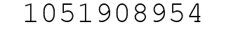 Number 1051908954.