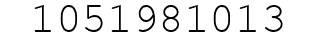 Number 1051981013.