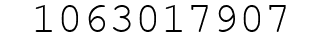 Number 1063017907.