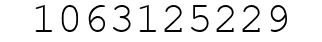 Number 1063125229.