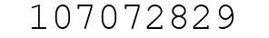 Number 107072829.