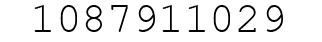 Number 1087911029.