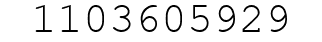 Number 1103605929.