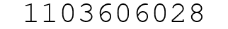 Number 1103606028.