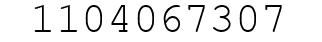 Number 1104067307.