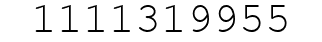 Number 1111319955.