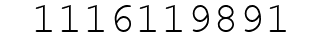 Number 1116119891.