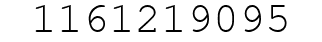 Number 1161219095.