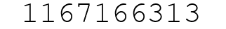 Number 1167166313.