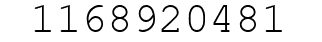 Number 1168920481.