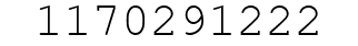 Number 1170291222.