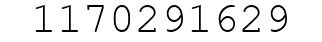 Number 1170291629.