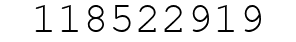 Number 118522919.