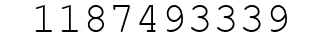 Number 1187493339.
