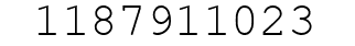 Number 1187911023.