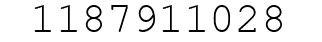 Number 1187911028.