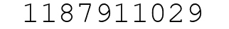 Number 1187911029.