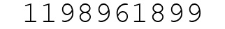 Number 1198961899.