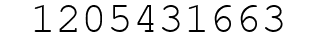 Number 1205431663.