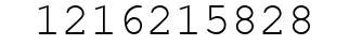 Number 1216215828.