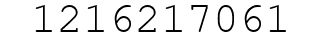 Number 1216217061.