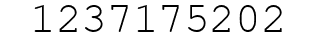 Number 1237175202.