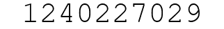 Number 1240227029.