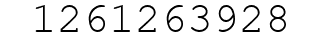 Number 1261263928.