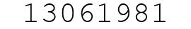 Number 13061981.
