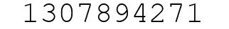 Number 1307894271.