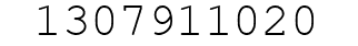 Number 1307911020.