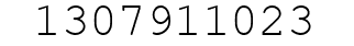 Number 1307911023.