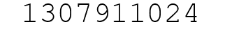 Number 1307911024.