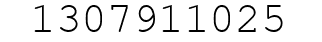 Number 1307911025.