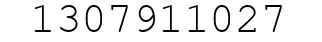 Number 1307911027.