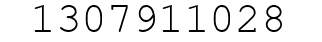 Number 1307911028.