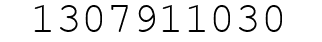 Number 1307911030.