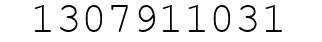 Number 1307911031.