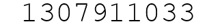 Number 1307911033.