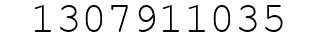 Number 1307911035.