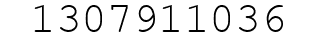 Number 1307911036.
