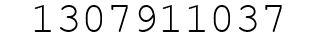Number 1307911037.
