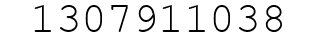 Number 1307911038.