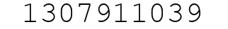 Number 1307911039.