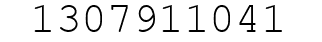 Number 1307911041.