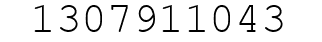 Number 1307911043.