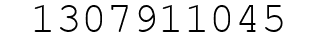 Number 1307911045.