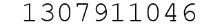 Number 1307911046.