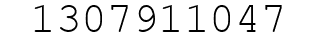 Number 1307911047.