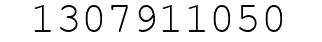 Number 1307911050.
